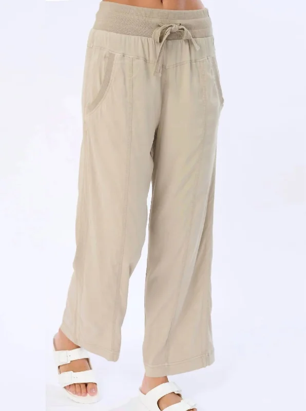 Price Drop Natia Pants In Clay