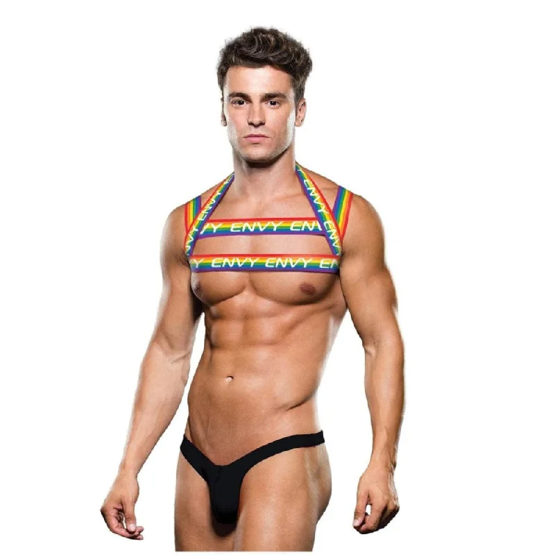 Weekend Bargains to Sizzle Rainbow Harness M/L